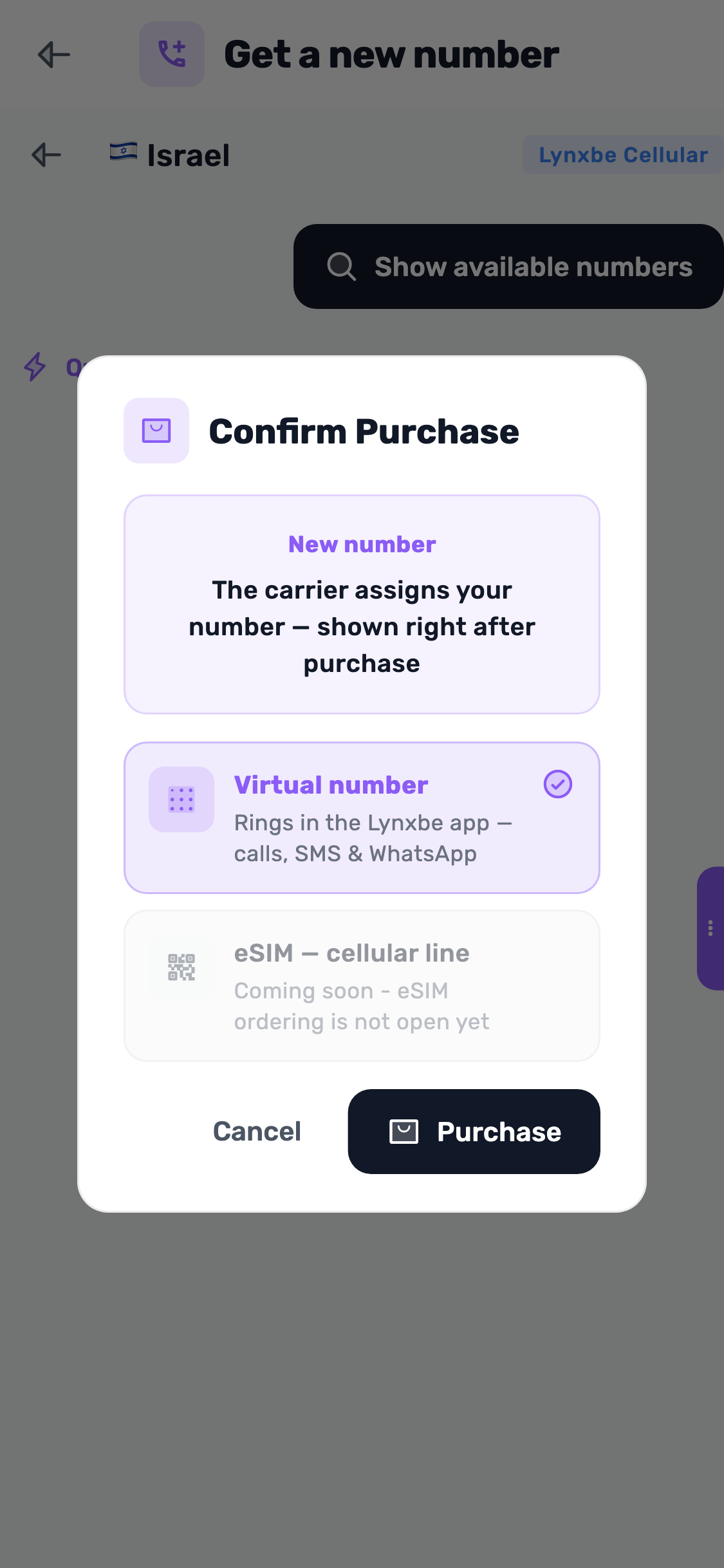 Original screen capture: Purchase confirmation. Before payment.